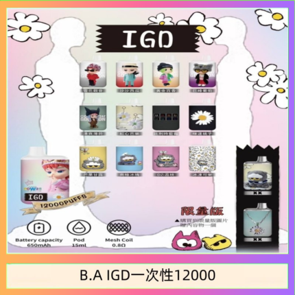 B.A IGD12000口 電子煙